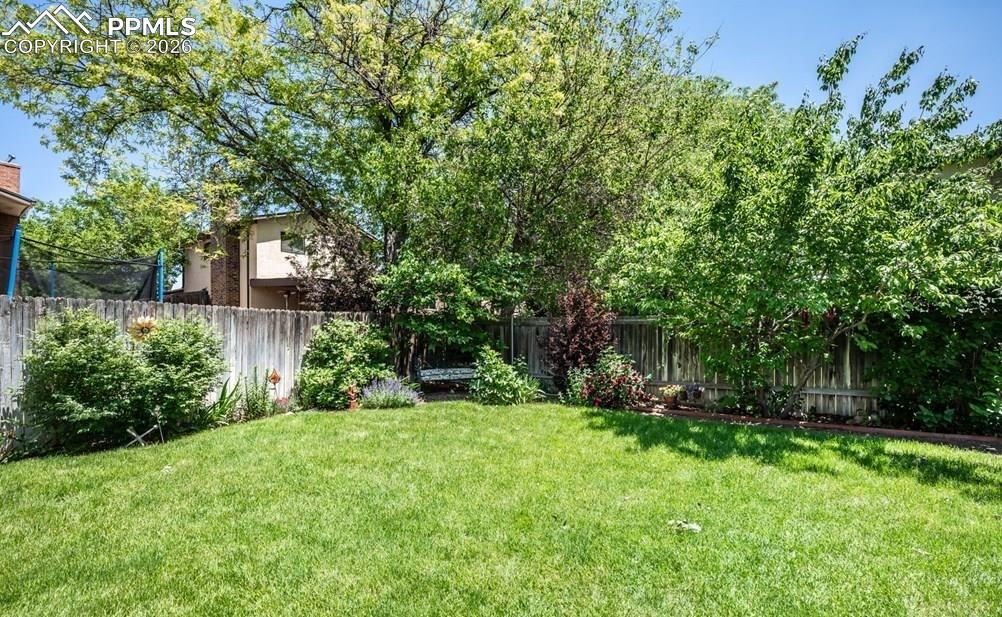 Image 27 of 32: Yard