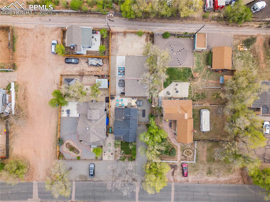 Image 44 of 47: Bird