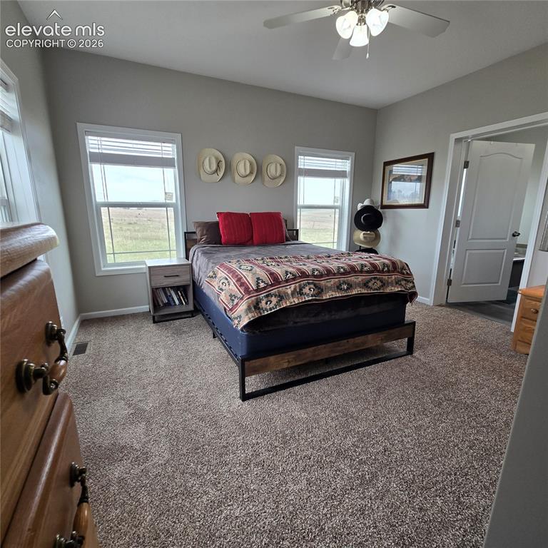 Image 12 of 25: Master Bedroom