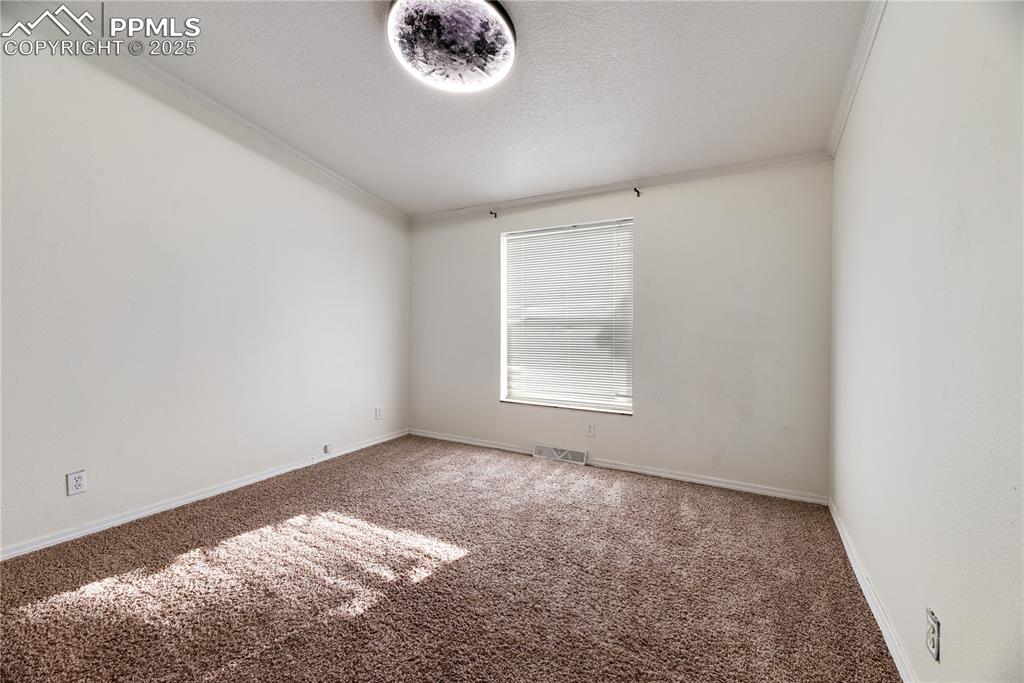 Image 29 of 46: Empty room with crown molding, carpet flooring, and a textured ceiling
