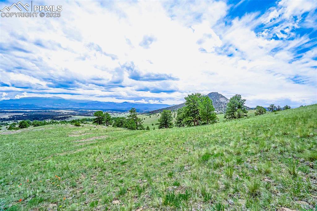 Image 10 of 50: View