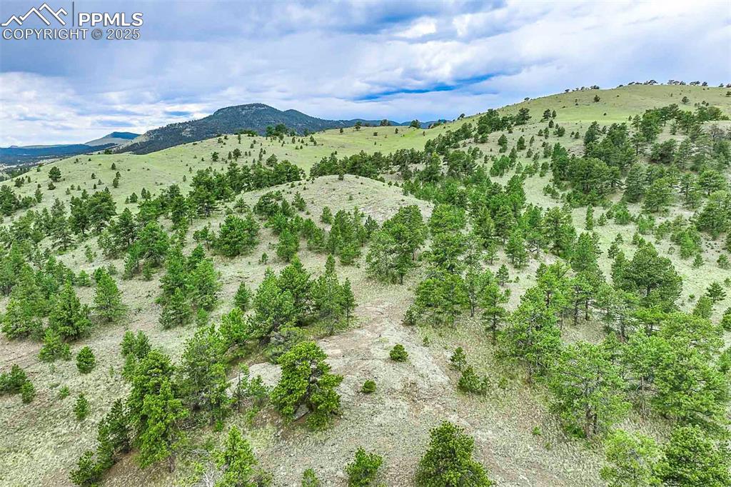 Image 14 of 50: View