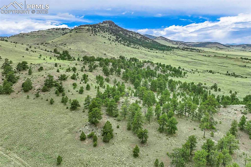 Image 16 of 50: View