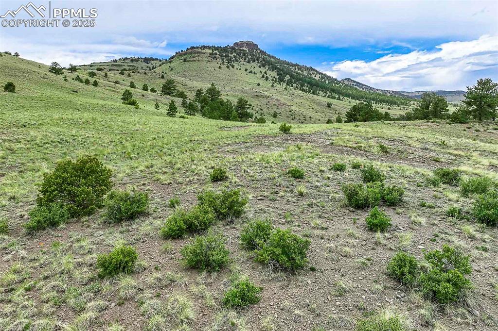 Image 20 of 50: View