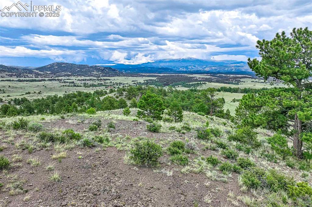 Image 21 of 50: View