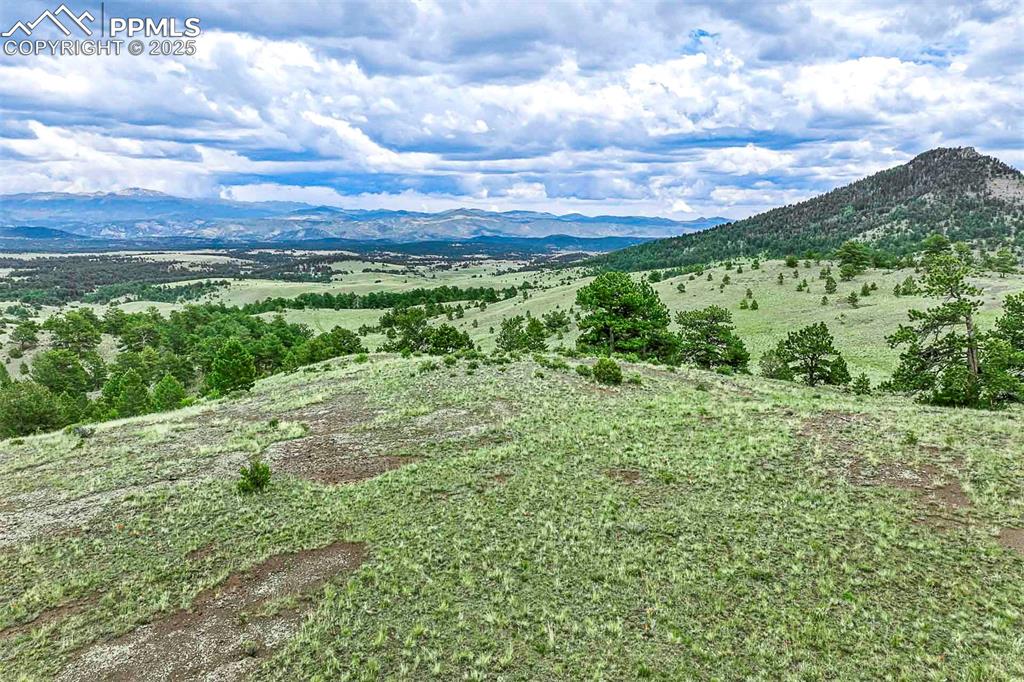 Image 22 of 50: View