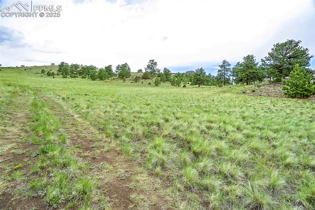 Image 3 of 50: Other