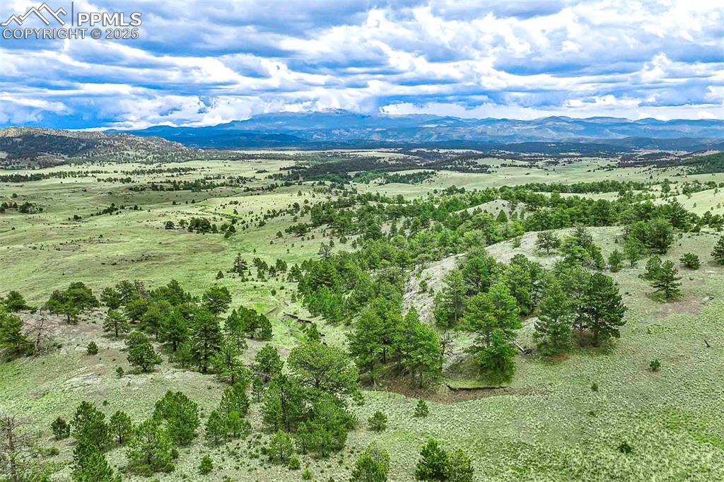 Image 37 of 50: View