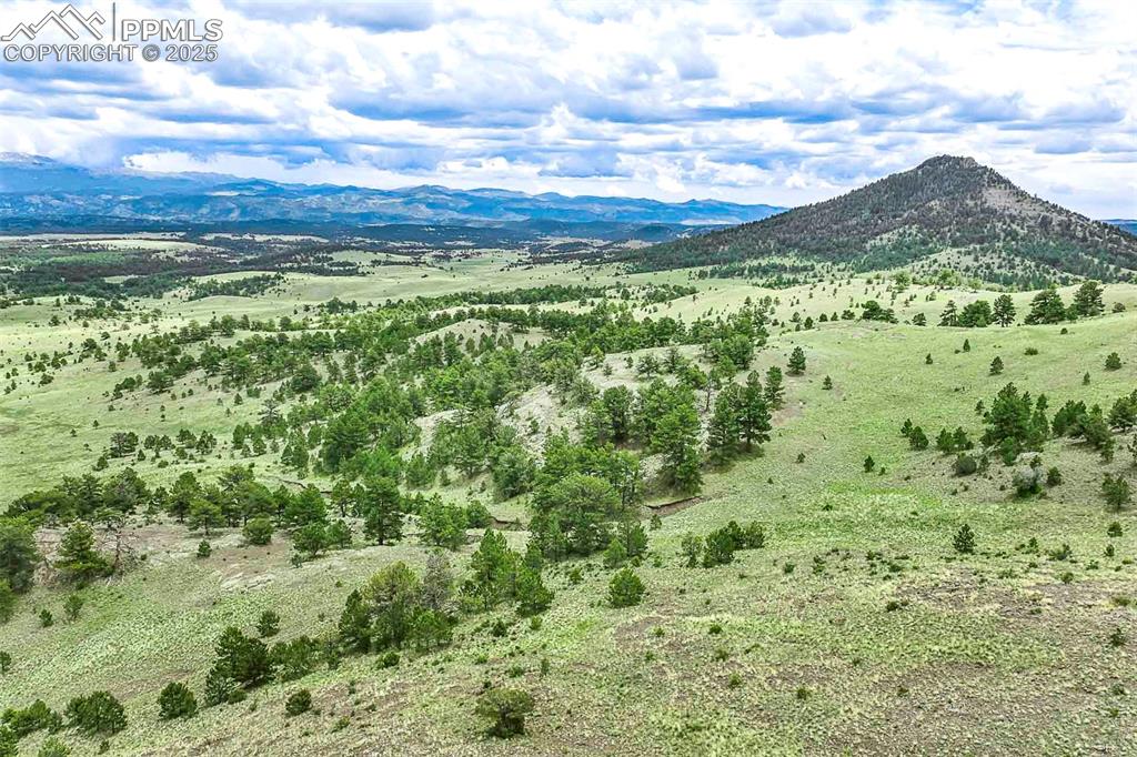 Image 38 of 50: View