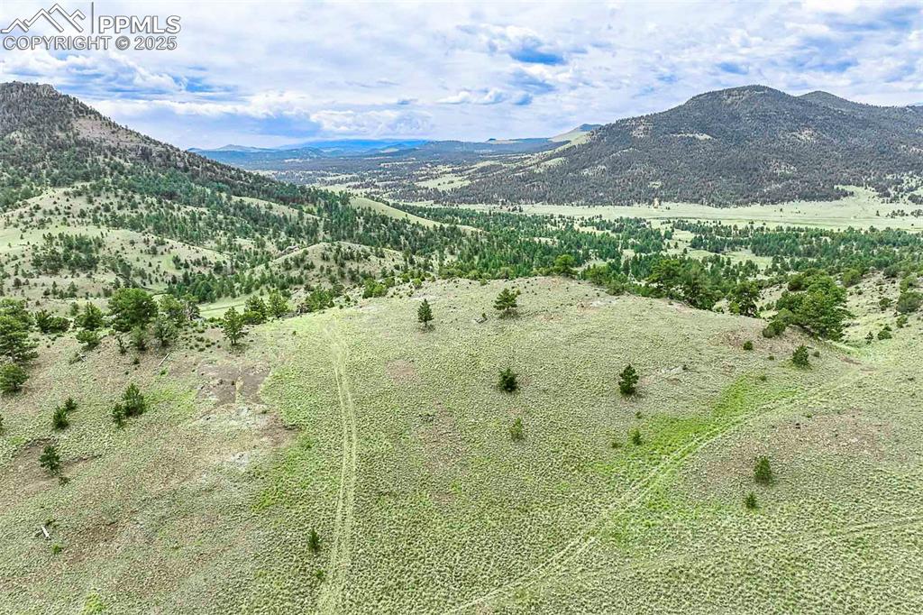 Image 41 of 50: View