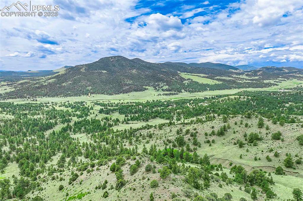 Image 42 of 50: View