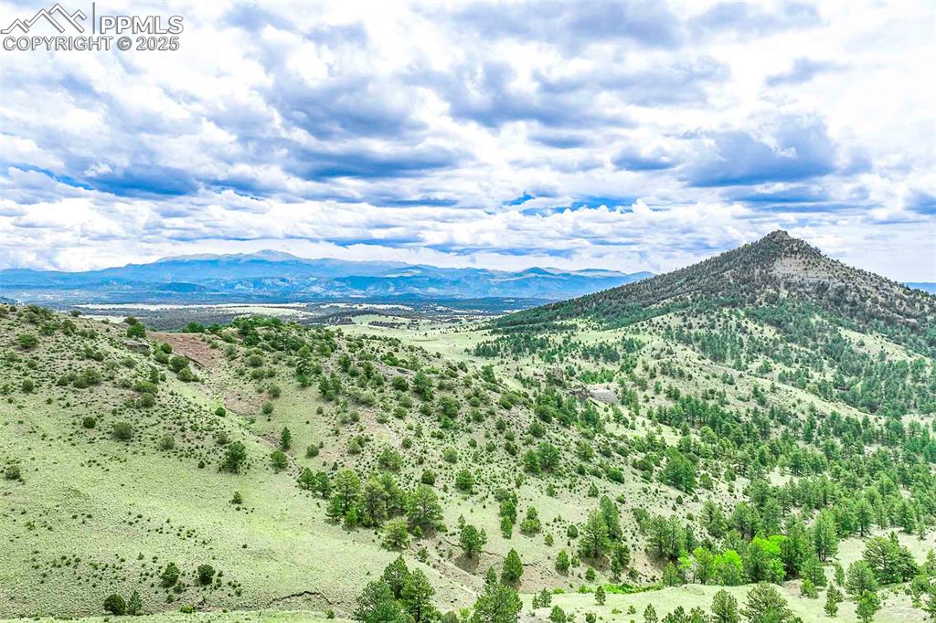 Image 46 of 50: View