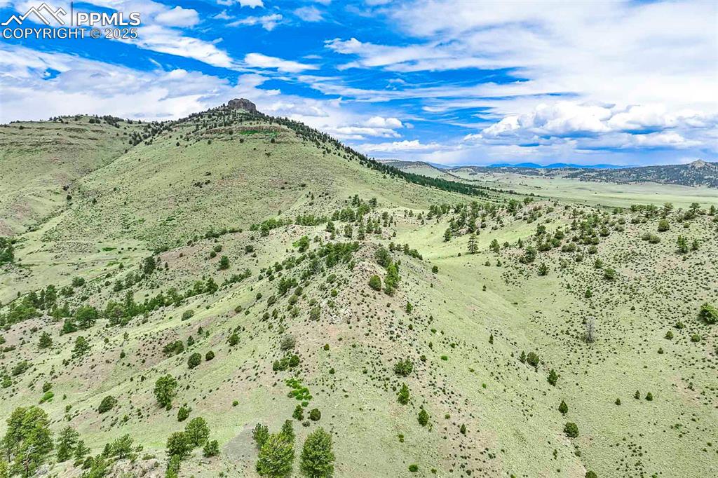 Image 47 of 50: View