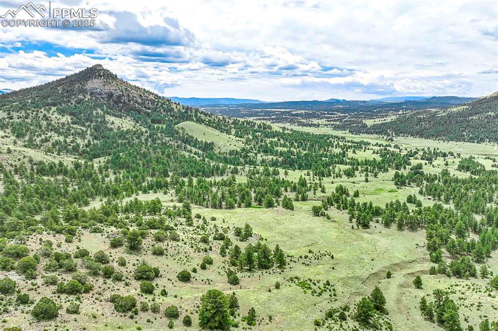 Image 50 of 50: View