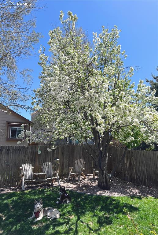 Image 26 of 26: Yard