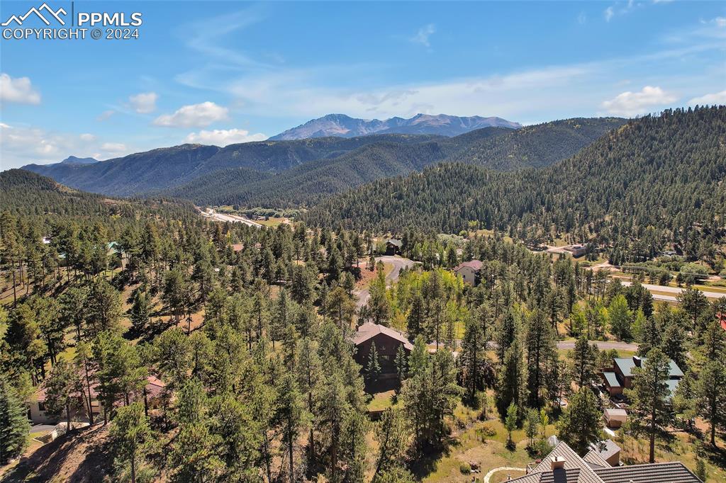 Image 38 of 40: Quiet Neighborhood, Pine Trees, Beautiful Mountain View,