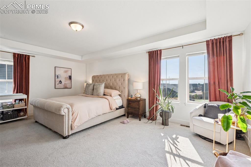Image 19 of 43: Bedroom featuring carpet and a raised ceiling