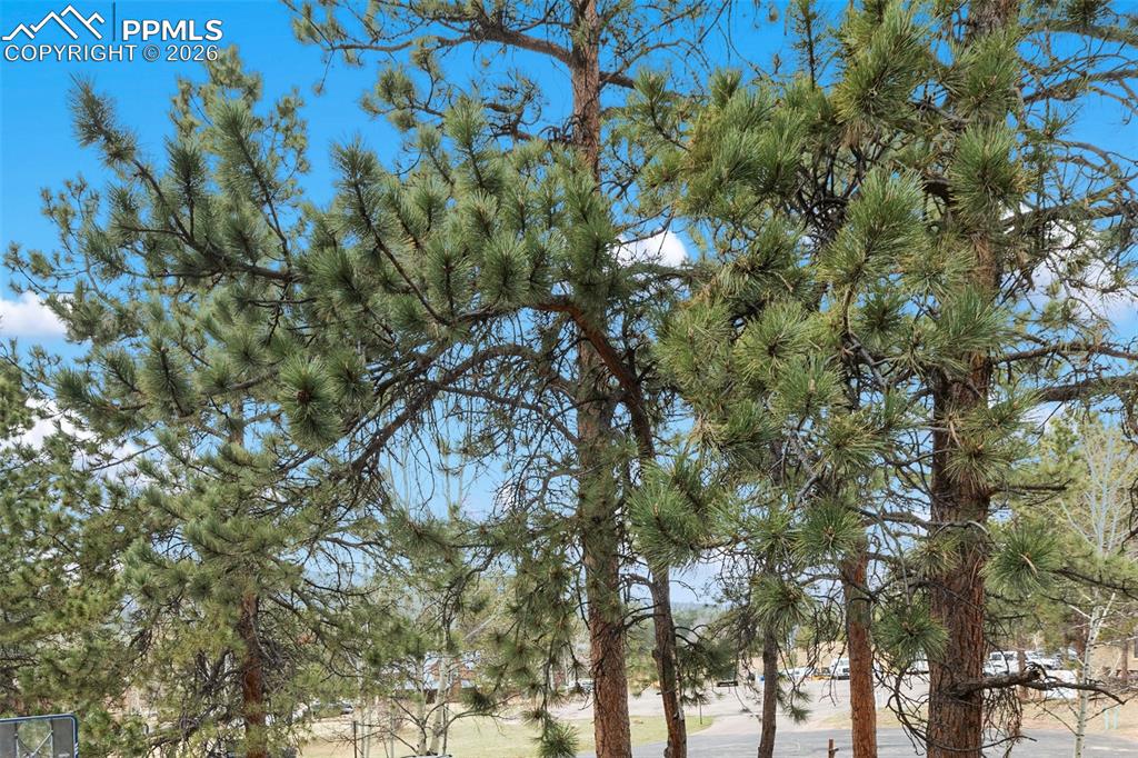 Image 31 of 34: View from front porch