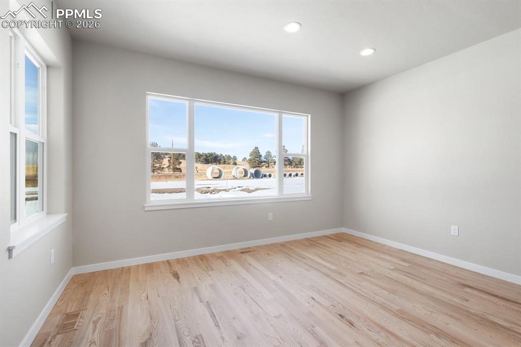 Image 10 of 11: Other