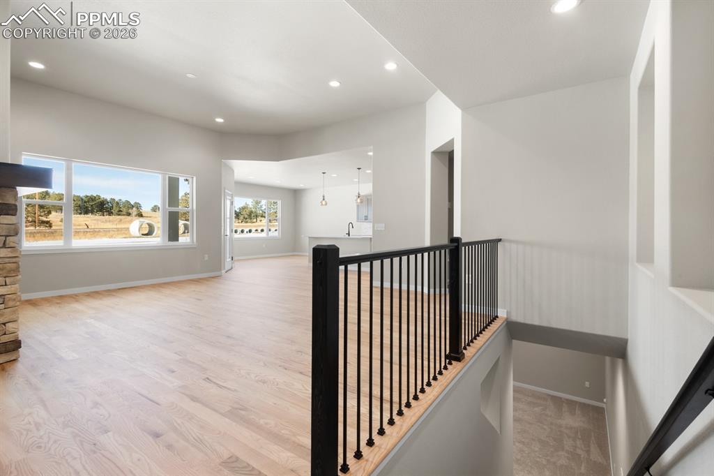 Image 6 of 11: Other