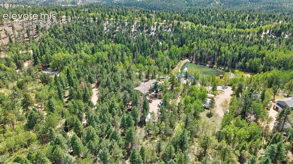Image 12 of 21: Expansive wooded landscape featuring a natural body of water, diverse tree