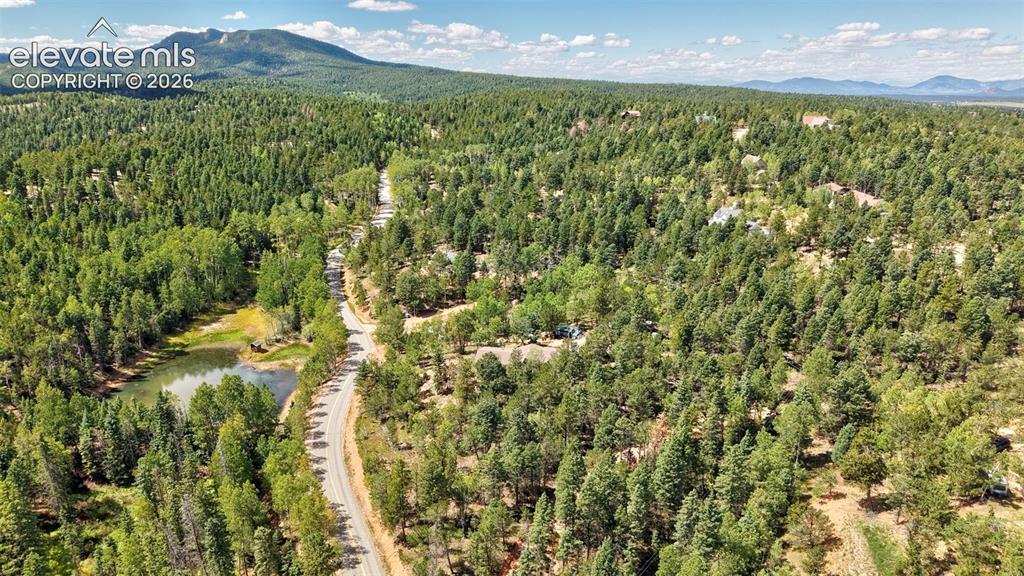 Image 8 of 21: Scenic forest acreage featuring a winding paved road through mature conifer