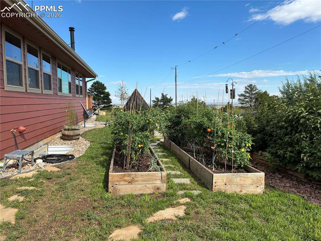Image 44 of 49: Summer 2025- View of the raised garden beds with vegetable garden