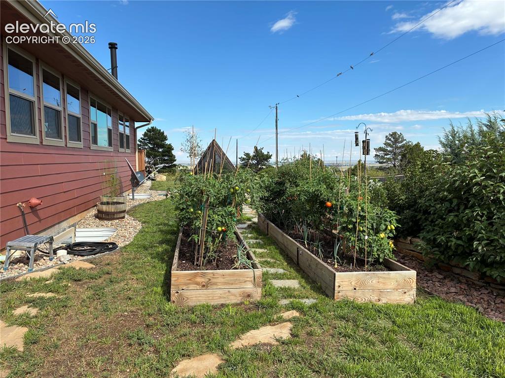 Image 45 of 50: Summer 2025- View of the raised garden beds with vegetable garden