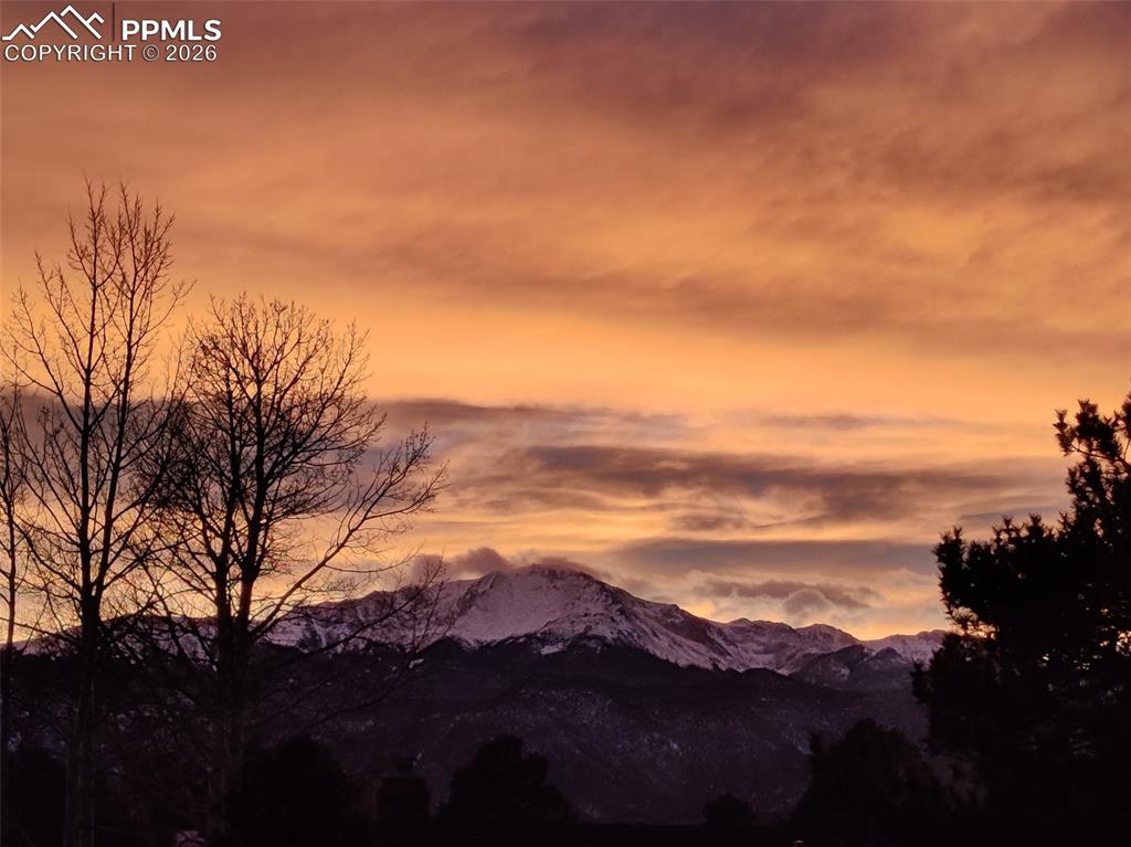 Image 47 of 49: View