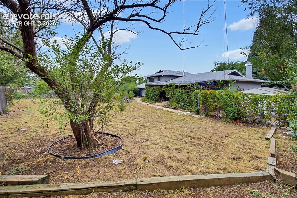 Image 2 of 45: Expansive rear yard with a mature tree
