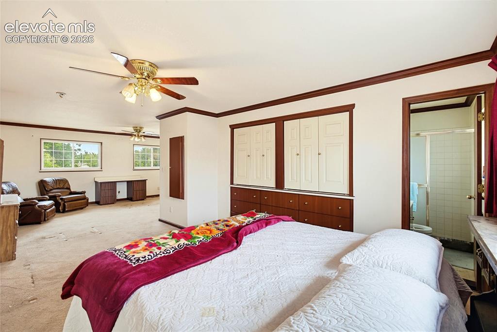Image 9 of 45: Expansive room with multiple windows, two ceiling fans, and built-in cabine