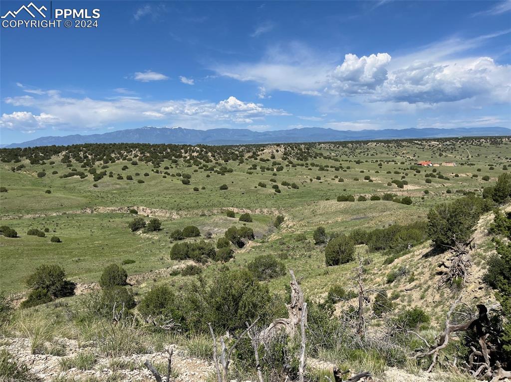 Image 5 of 10: View