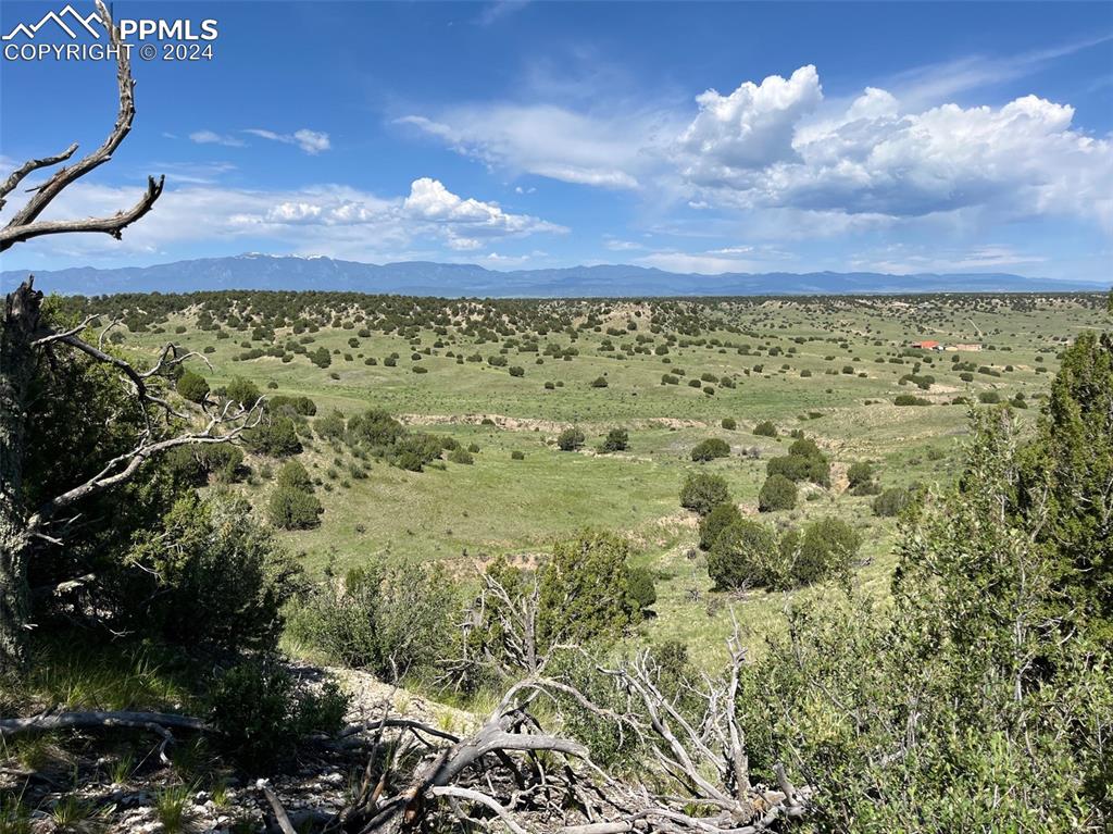 Image 8 of 10: View