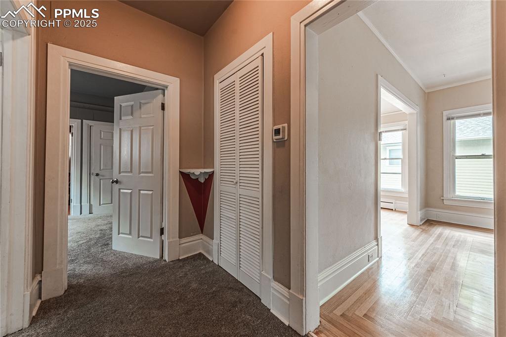 Image 16 of 24: Other