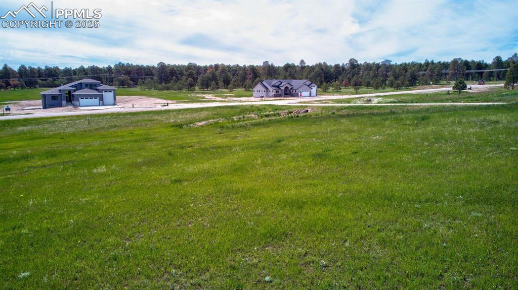 Image 12 of 17: Yard