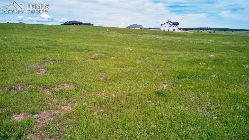 Image 16 of 17: Yard