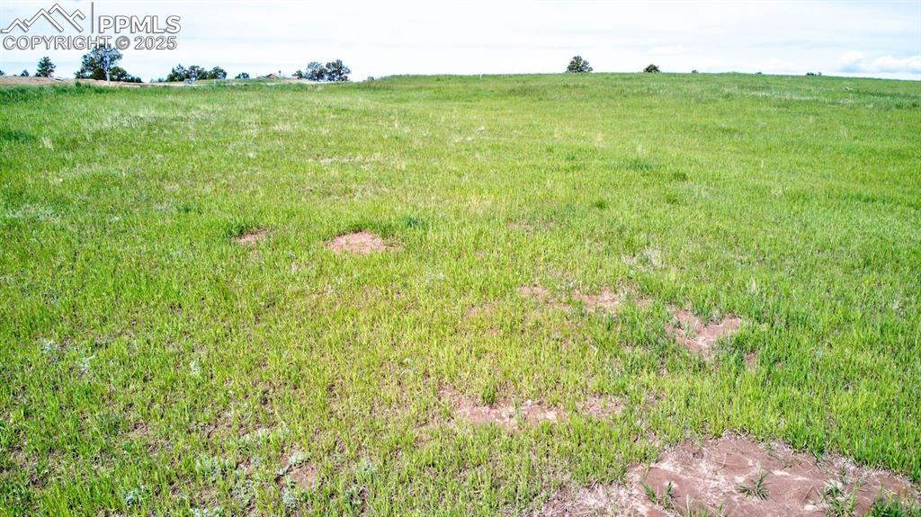 Image 17 of 17: Yard