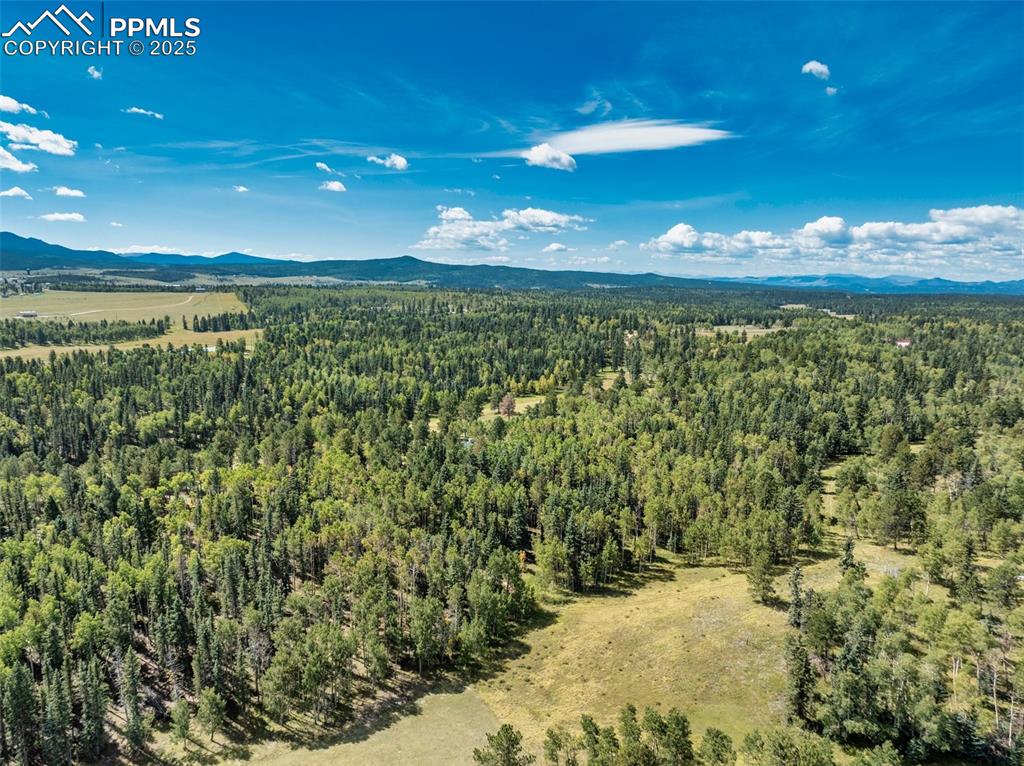 Image 44 of 50: Aerial View