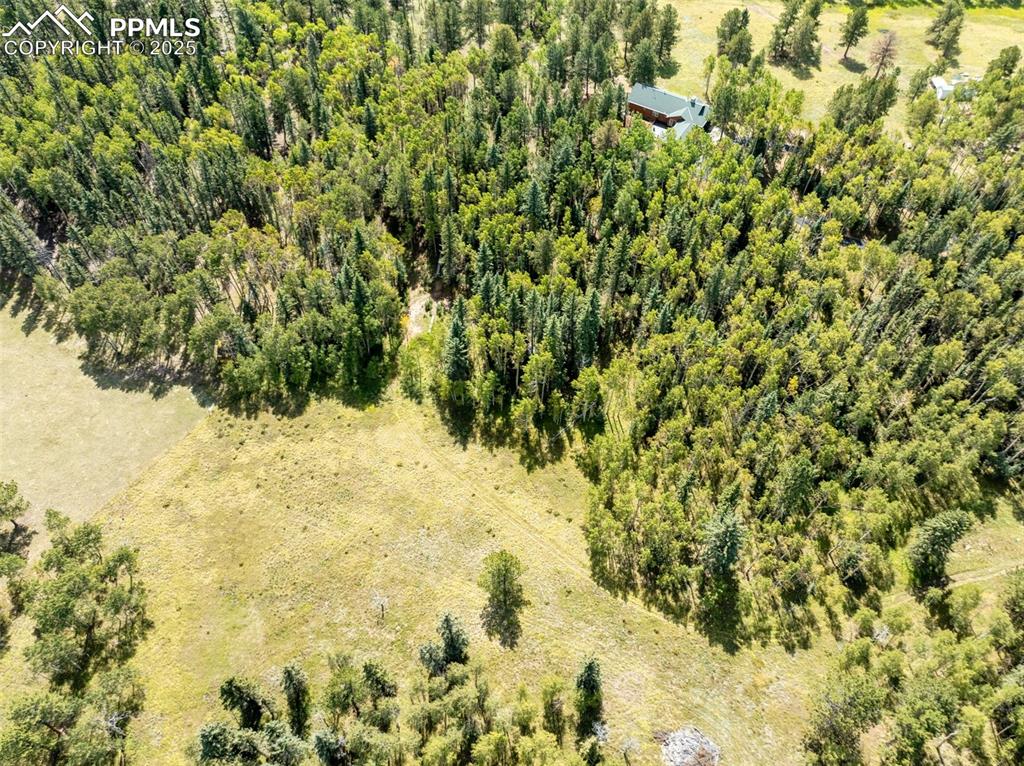 Image 45 of 50: Aerial View