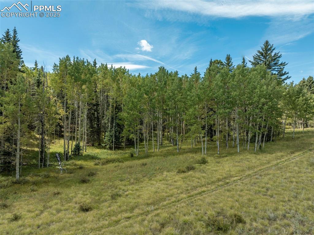 Image 47 of 50: Other