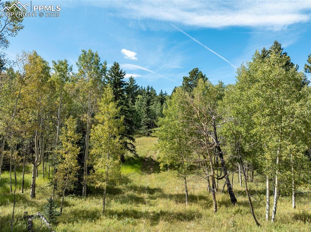 Image 48 of 50: Other