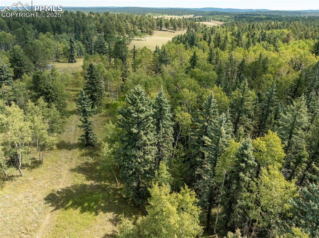 Image 49 of 50: Aerial View