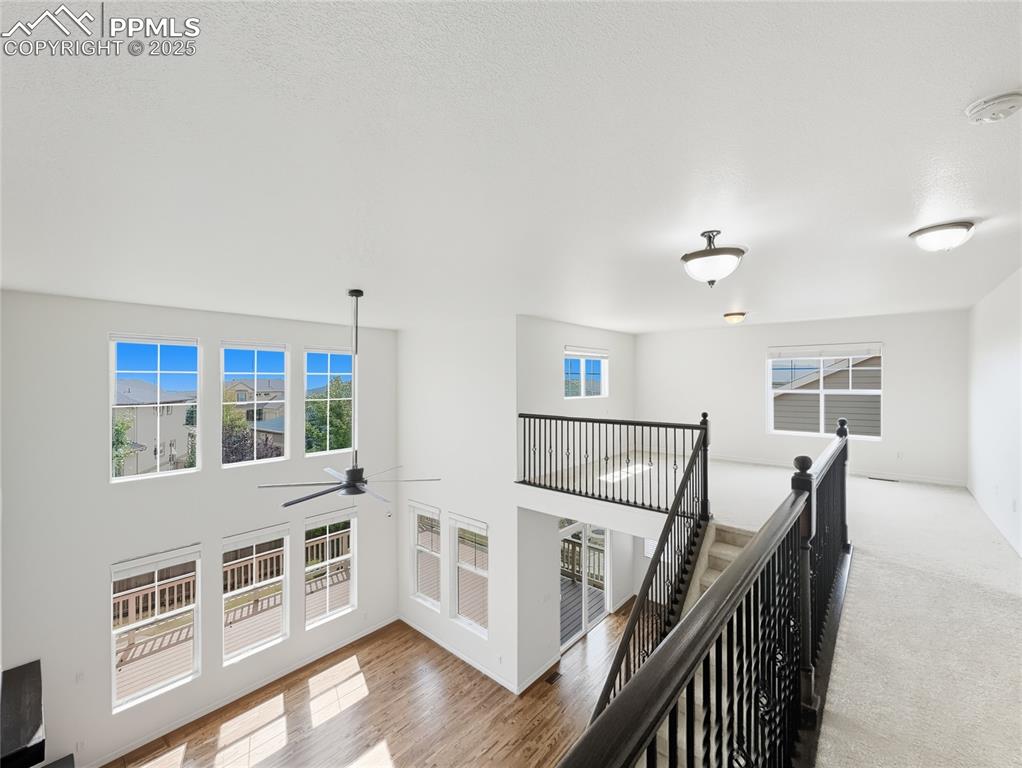 Image 10 of 50: Loft