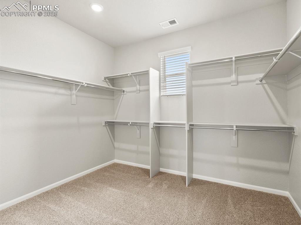Image 19 of 26: Walk in closet featuring light colored carpet