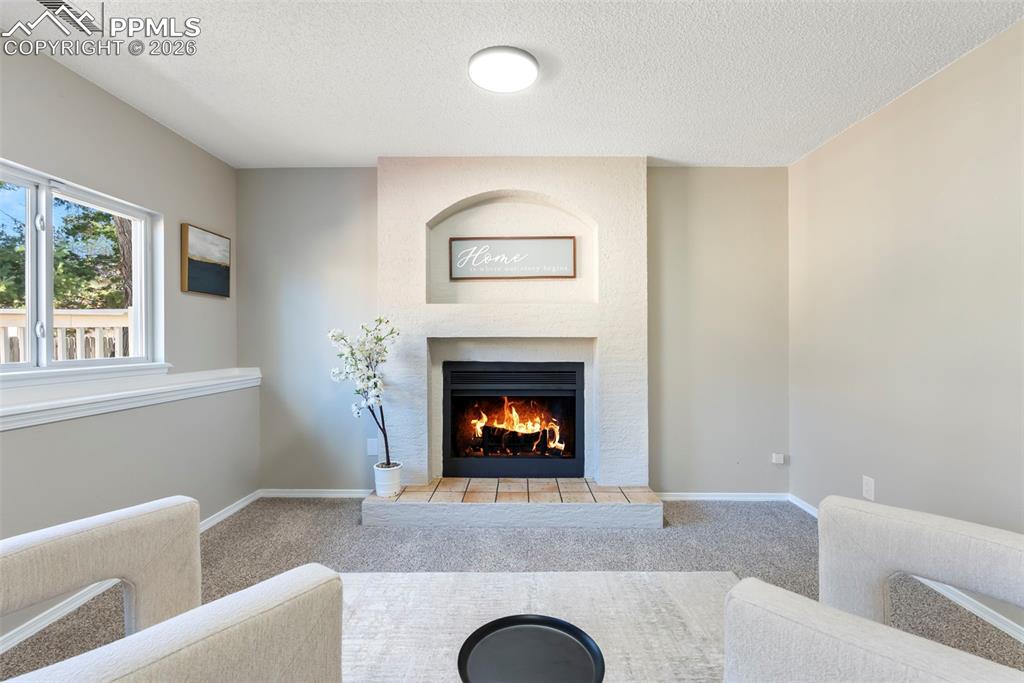 Image 19 of 45: Living Room