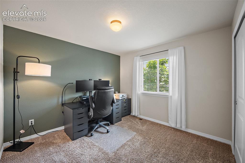 Image 9 of 49: Carpeted room with a contrasting accent wall, a single window with blinds a