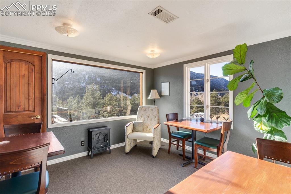 Image 24 of 25: Sitting room with dark colored carpet, ornamental molding, a wood stove, an