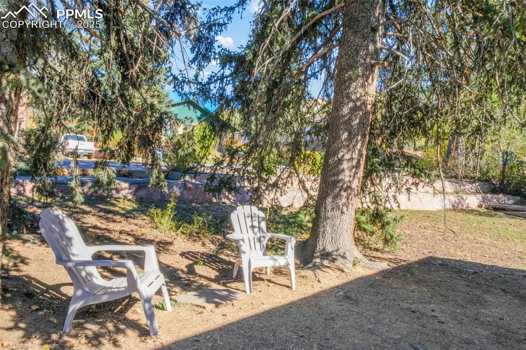 Image 39 of 50: Yard