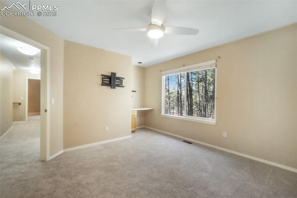 Image 29 of 50: Other