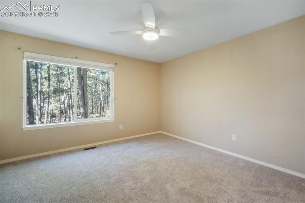 Image 30 of 50: Other